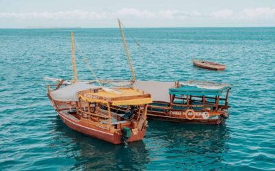 Sustainable Solutions: African Approaches to Climate Challenges
